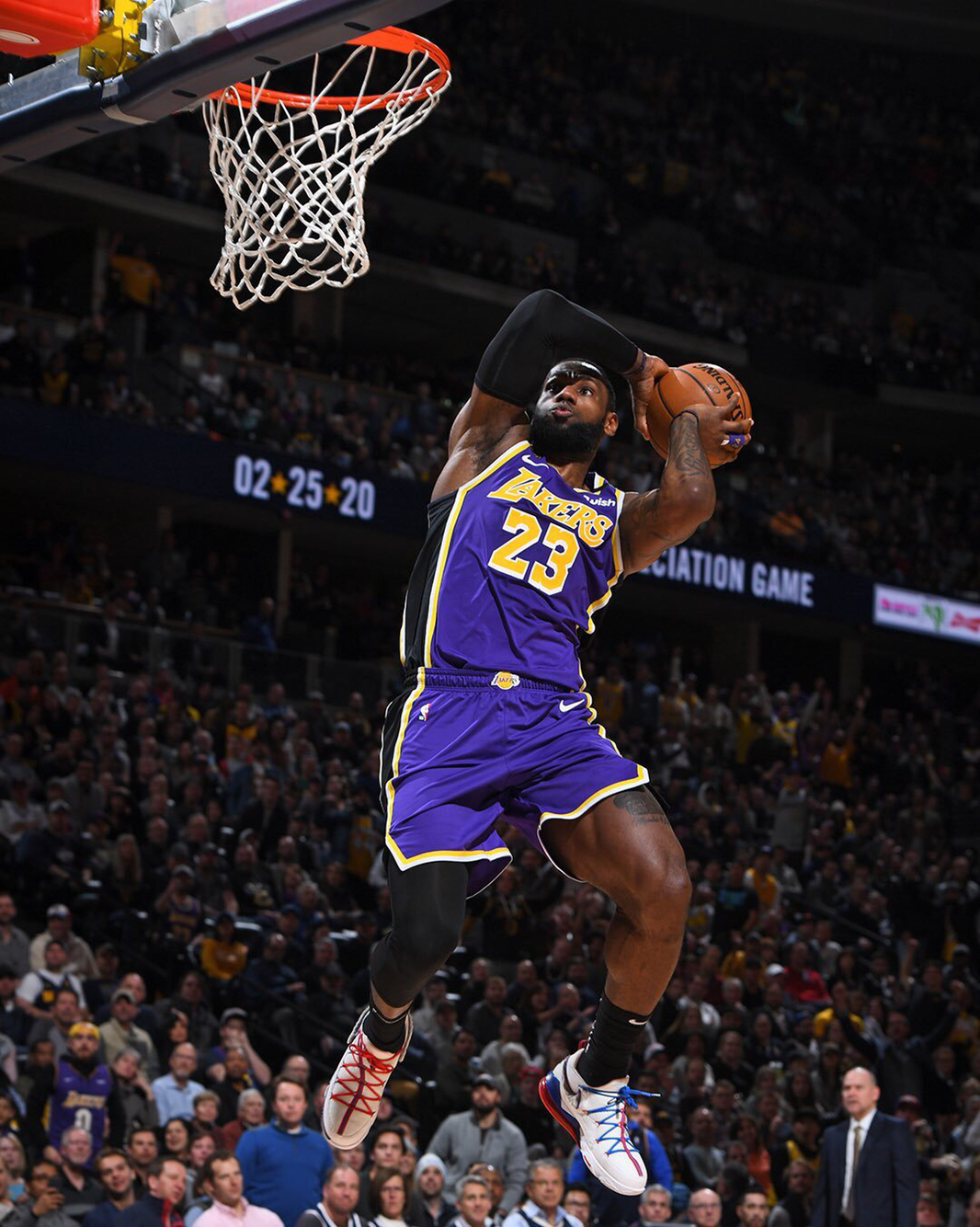 逐步确立了 逐步确立了