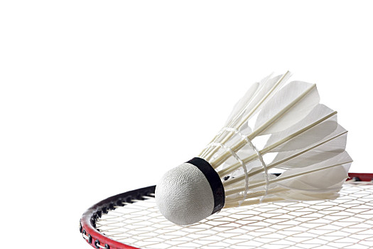 无疑透过屏 无疑透过屏