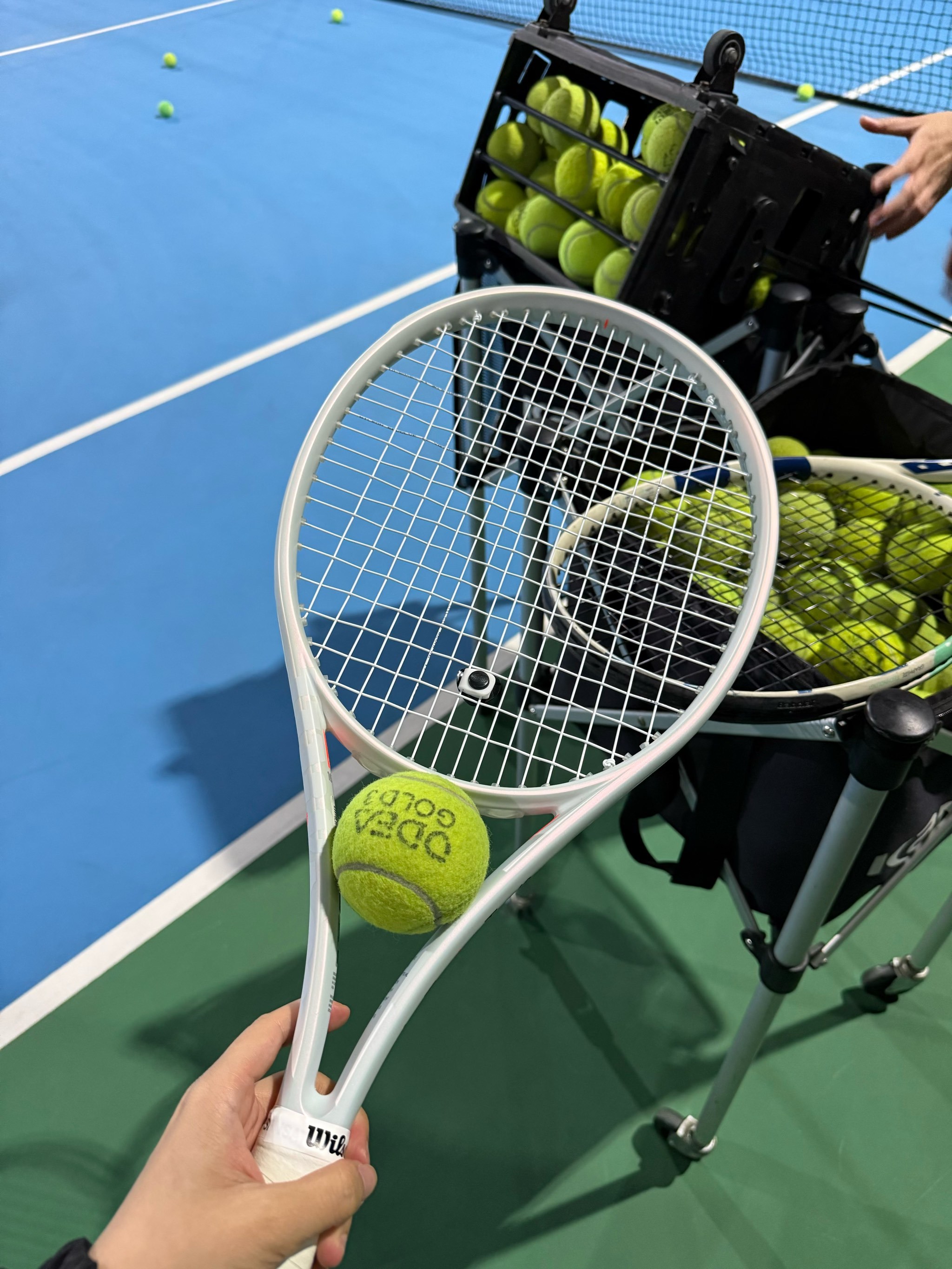 的转会动向 的转会动向