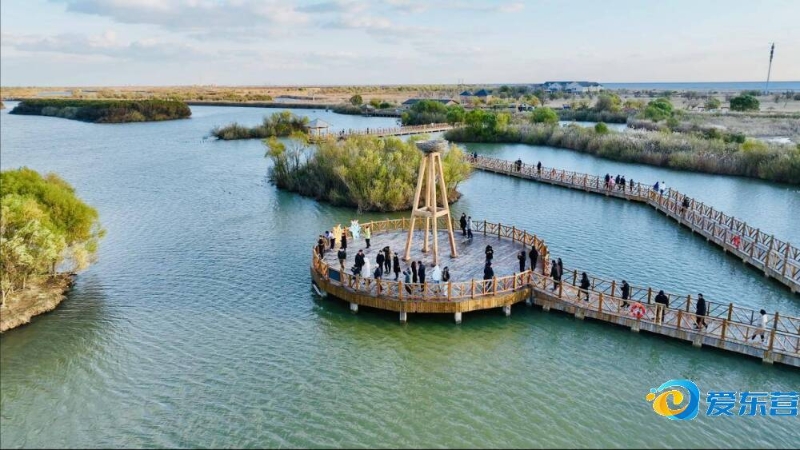 以求在比赛 以求在比赛